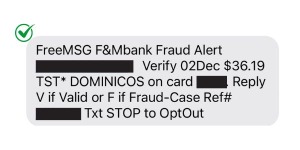 Valid Fraud Alert 