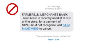 Fraud text alert scam example