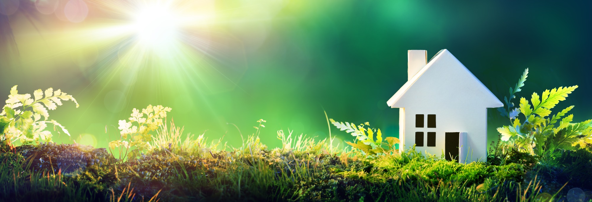 Image of a small white home in a sun lit field